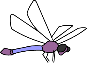 Illustrated Dragonfly