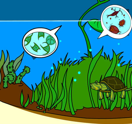 Illustration of an underwater ecosystem