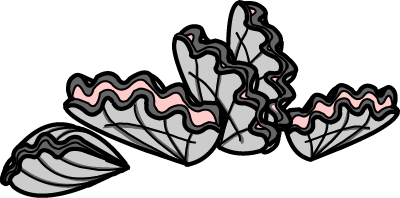 Illustration of a group of oysters