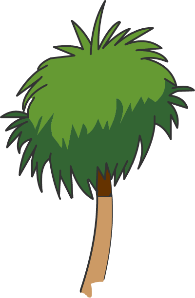 Illustration of a short palm tree